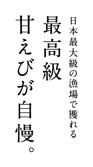 日本最大級の漁場で獲れる最高級甘えびが自慢。