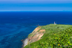 天売島・焼尻島の振興のための事業